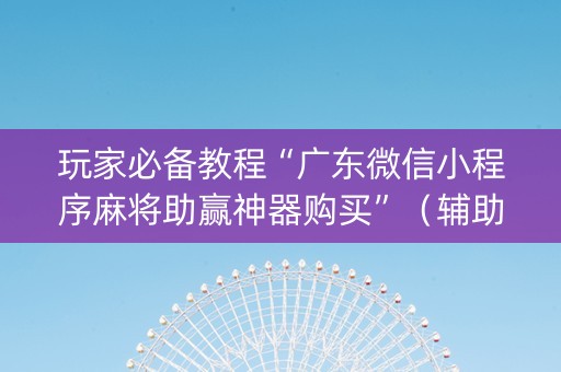 玩家必备教程“广东微信小程序麻将助赢神器购买”（辅助器插件)