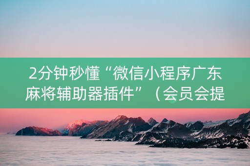 2分钟秒懂“微信小程序广东麻将辅助器插件”（会员会提高胜率吗)