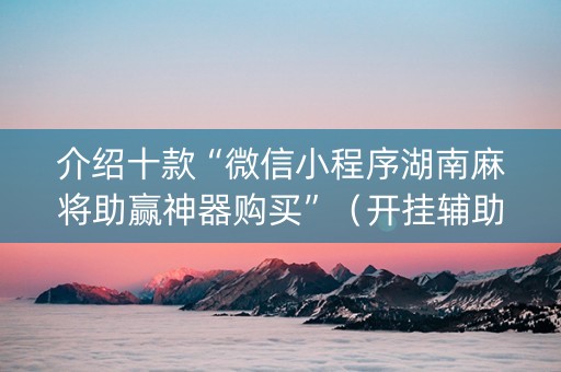 介绍十款“微信小程序湖南麻将助赢神器购买”（开挂辅助器插件)