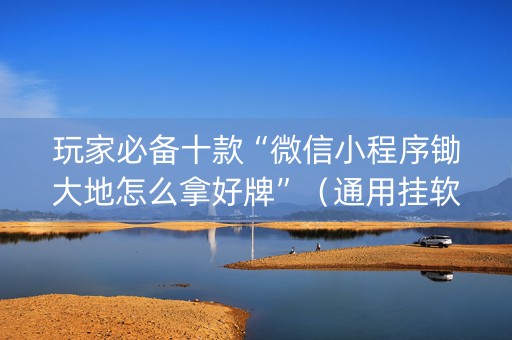 玩家必备十款“微信小程序锄大地怎么拿好牌”（通用挂软件多少钱)