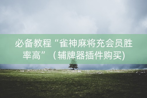 必备教程“雀神麻将充会员胜率高”（辅牌器插件购买)