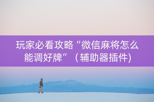 玩家必看攻略“微信麻将怎么能调好牌”（辅助器插件)