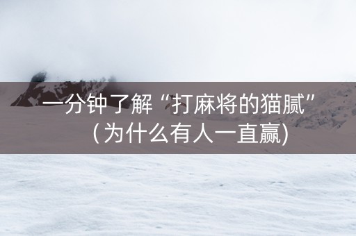 一分钟了解“打麻将的猫腻”（为什么有人一直赢)