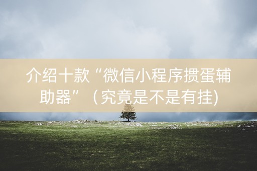 介绍十款“微信小程序掼蛋辅助器”（究竟是不是有挂)