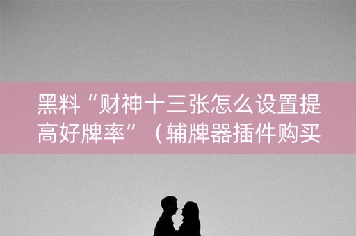 黑料“财神十三张怎么设置提高好牌率”（辅牌器插件购买)