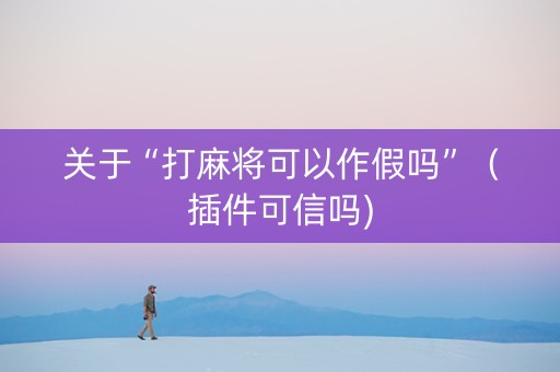 关于“打麻将可以作假吗”（插件可信吗)