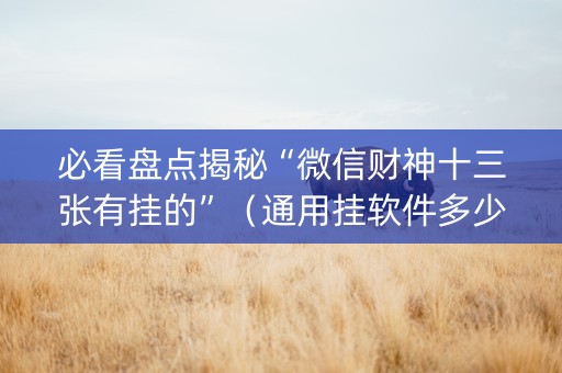 必看盘点揭秘“微信财神十三张有挂的”（通用挂软件多少钱)
