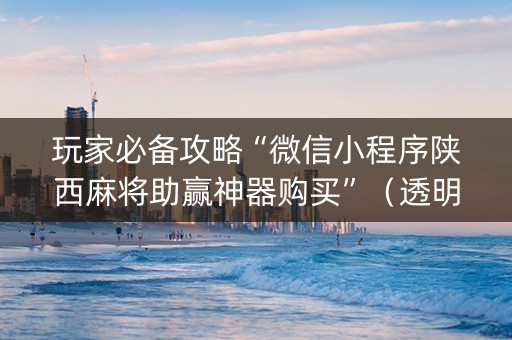玩家必备攻略“微信小程序陕西麻将助赢神器购买”（透明器教程)