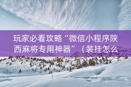 玩家必看攻略“微信小程序陕西麻将专用神器”（装挂怎么安装)