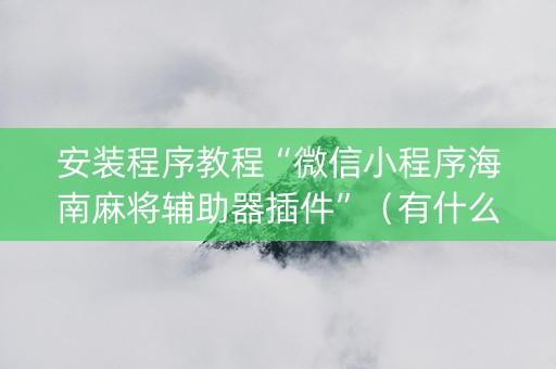 安装程序教程“微信小程序海南麻将辅助器插件”（有什么规律)