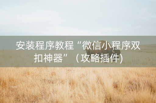 安装程序教程“微信小程序双扣神器”（攻略插件)