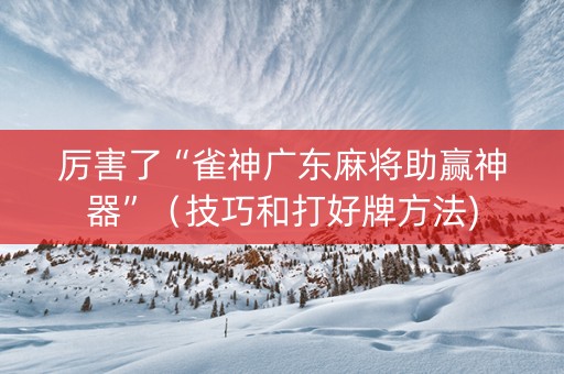 厉害了“雀神广东麻将助赢神器”（技巧和打好牌方法)