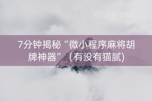 7分钟揭秘“微小程序麻将胡牌神器”（有没有猫腻)
