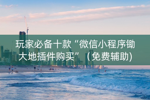玩家必备十款“微信小程序锄大地插件购买”（免费辅助)