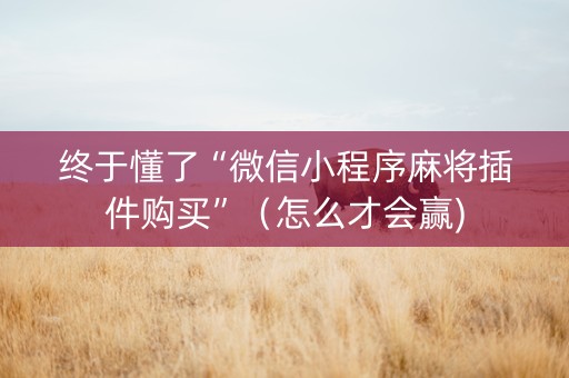 终于懂了“微信小程序麻将插件购买”（怎么才会赢)