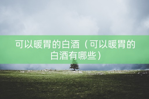可以暖胃的白酒（可以暖胃的白酒有哪些）