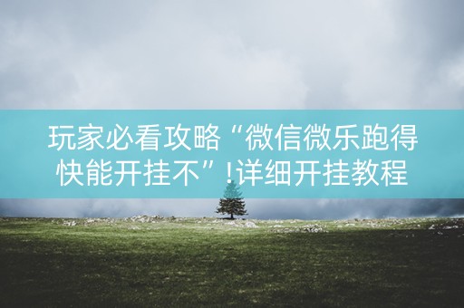 玩家必看攻略“微信微乐跑得快能开挂不”!详细开挂教程-知乎