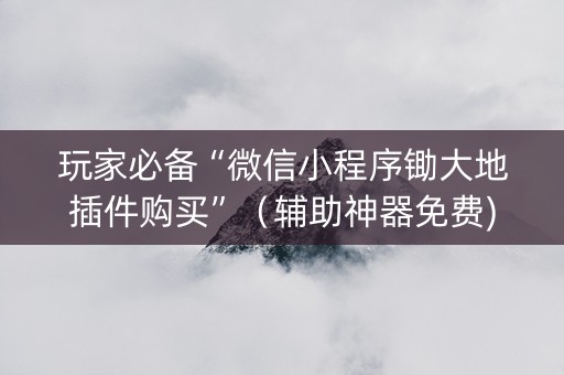 玩家必备“微信小程序锄大地插件购买”（辅助神器免费)