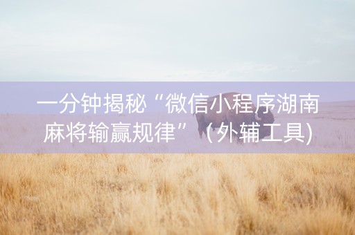 一分钟揭秘“微信小程序湖南麻将输赢规律”（外辅工具)