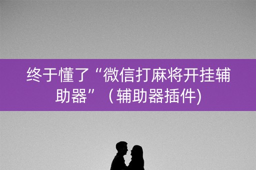 终于懂了“微信打麻将开挂辅助器”（辅助器插件)