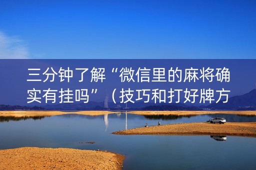 三分钟了解“微信里的麻将确实有挂吗”（技巧和打好牌方法)