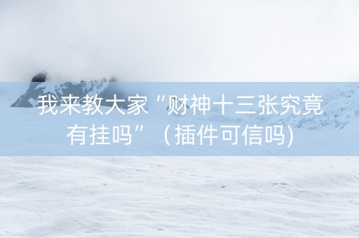 我来教大家“财神十三张究竟有挂吗”（插件可信吗)