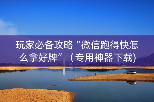 玩家必备攻略“微信跑得快怎么拿好牌”（专用神器下载)
