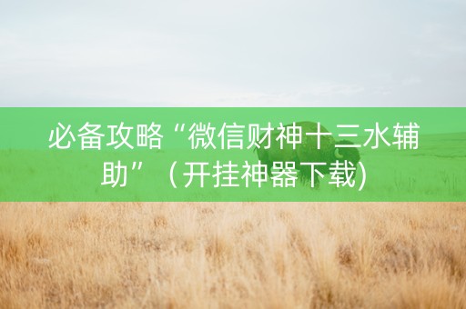 必备攻略“微信财神十三水辅助”（开挂神器下载)