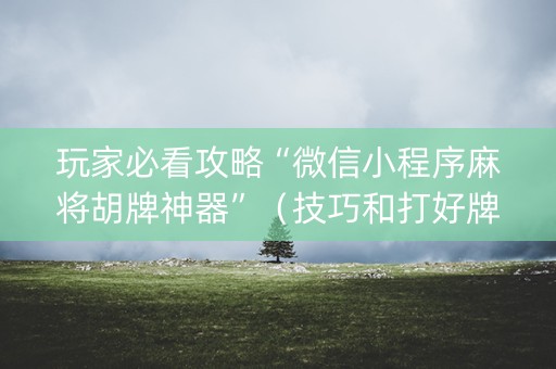 玩家必看攻略“微信小程序麻将胡牌神器”（技巧和打好牌方法)