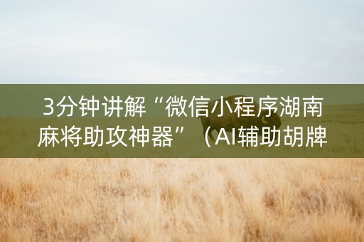 3分钟讲解“微信小程序湖南麻将助攻神器”（AI辅助胡牌规则)