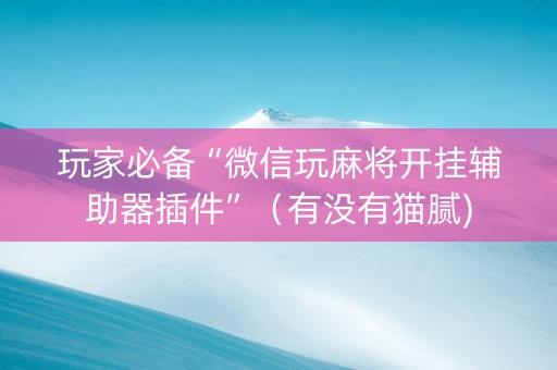 玩家必备“微信玩麻将开挂辅助器插件”（有没有猫腻)