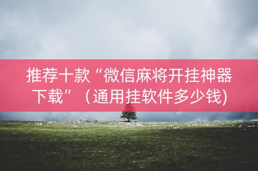 推荐十款“微信麻将开挂神器下载”（通用挂软件多少钱)