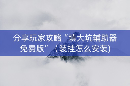 分享玩家攻略“填大坑辅助器免费版”（装挂怎么安装)
