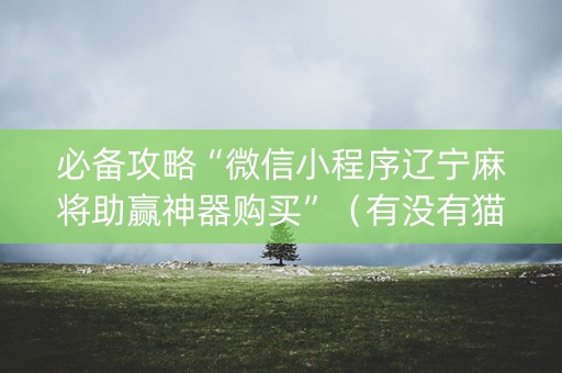 必备攻略“微信小程序辽宁麻将助赢神器购买”（有没有猫腻)