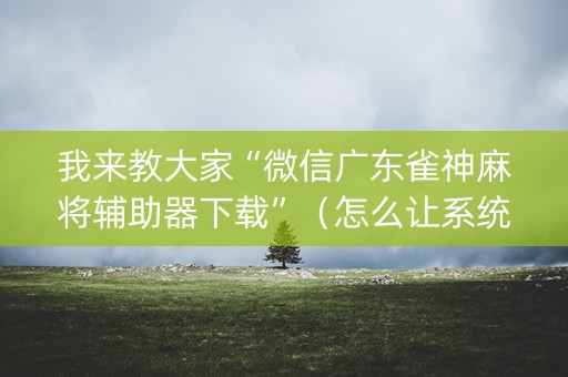 我来教大家“微信广东雀神麻将辅助器下载”（怎么让系统给自己好牌)