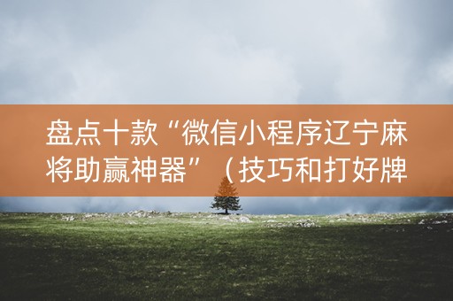 盘点十款“微信小程序辽宁麻将助赢神器”（技巧和打好牌方法)