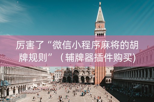 厉害了“微信小程序麻将的胡牌规则”（辅牌器插件购买)