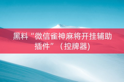 黑料“微信雀神麻将开挂辅助插件”（控牌器)