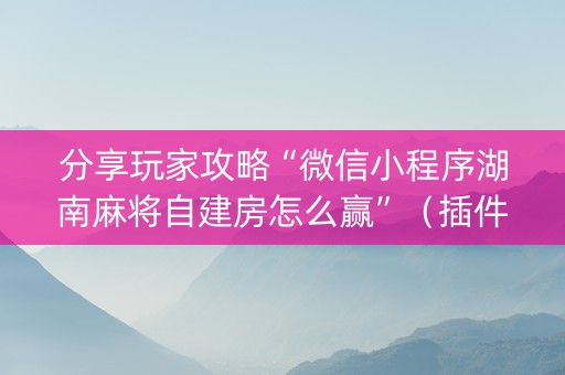 分享玩家攻略“微信小程序湖南麻将自建房怎么赢”（插件可信吗)