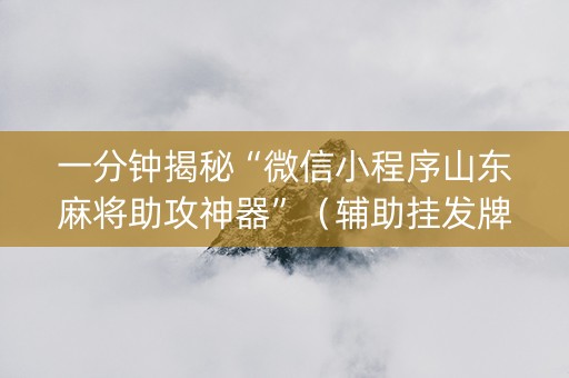 一分钟揭秘“微信小程序山东麻将助攻神器”（辅助挂发牌规律)