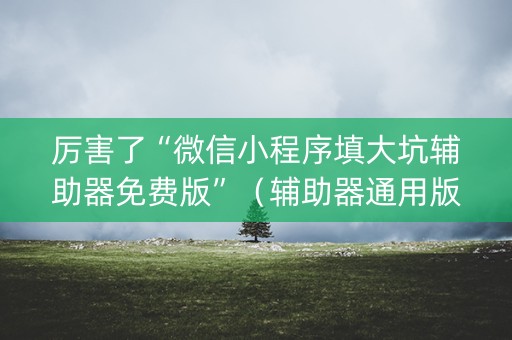 厉害了“微信小程序填大坑辅助器免费版”（辅助器通用版)