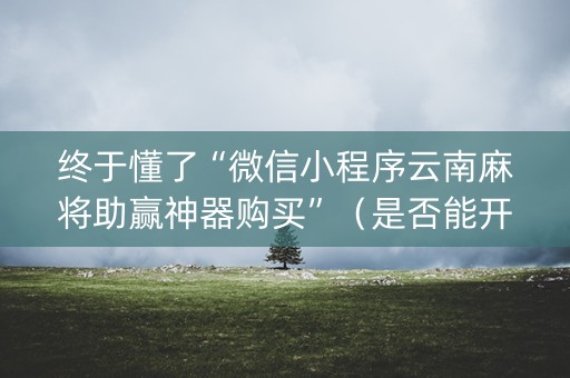 终于懂了“微信小程序云南麻将助赢神器购买”（是否能开挂)