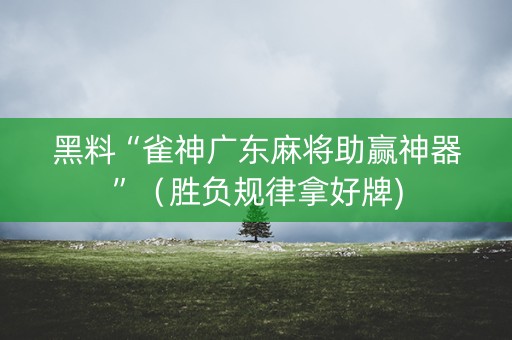 黑料“雀神广东麻将助赢神器”（胜负规律拿好牌)