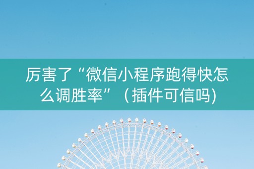 厉害了“微信小程序跑得快怎么调胜率”（插件可信吗)