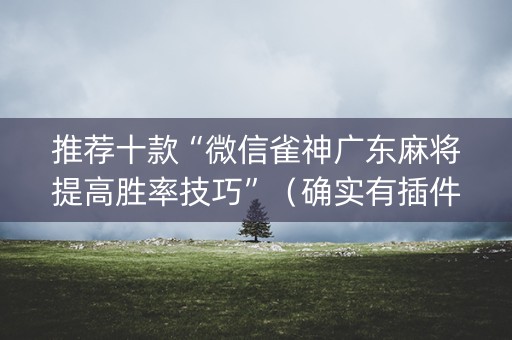 推荐十款“微信雀神广东麻将提高胜率技巧”（确实有插件吗)