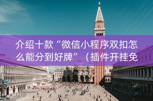 介绍十款“微信小程序双扣怎么能分到好牌”（插件开挂免费AI)
