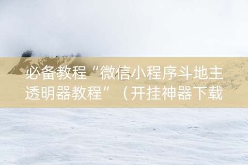 必备教程“微信小程序斗地主透明器教程”（开挂神器下载)