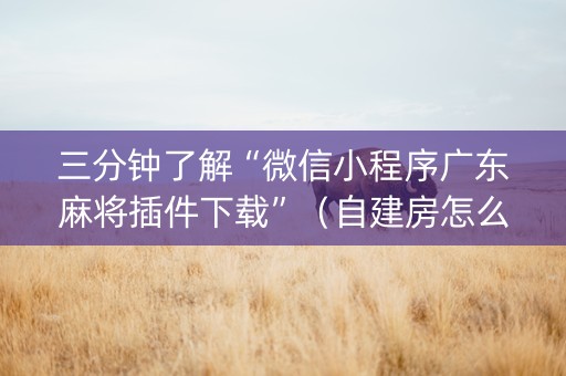 三分钟了解“微信小程序广东麻将插件下载”（自建房怎么拿好牌)