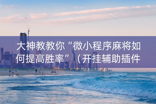 大神教教你“微小程序麻将如何提高胜率”（开挂辅助插件)