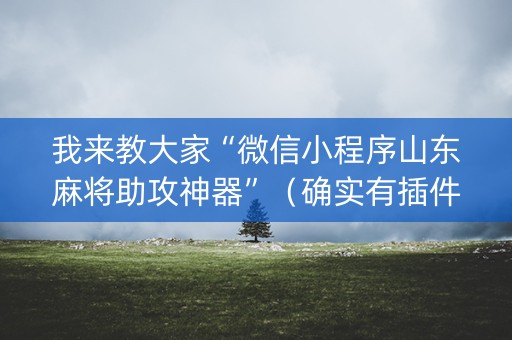 我来教大家“微信小程序山东麻将助攻神器”（确实有插件吗)